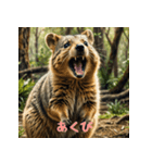 クォッカのかわいい表情集2（個別スタンプ：6）