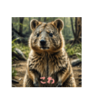 クォッカのかわいい表情集2（個別スタンプ：14）