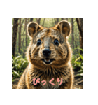 クォッカのかわいい表情集2（個別スタンプ：16）