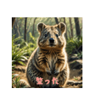 クォッカのかわいい表情集2（個別スタンプ：37）