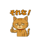茶トラ猫のかるめちゃん（個別スタンプ：3）