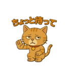 茶トラ猫のかるめちゃん（個別スタンプ：5）
