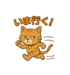 茶トラ猫のかるめちゃん（個別スタンプ：7）