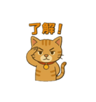 茶トラ猫のかるめちゃん（個別スタンプ：9）