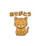茶トラ猫のかるめちゃん（個別スタンプ：11）