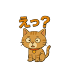 茶トラ猫のかるめちゃん（個別スタンプ：13）