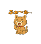 茶トラ猫のかるめちゃん（個別スタンプ：14）