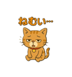 茶トラ猫のかるめちゃん（個別スタンプ：15）