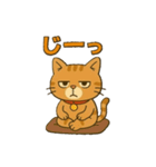 茶トラ猫のかるめちゃん（個別スタンプ：17）