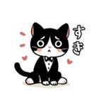 ハチワレ(猫)表情が可愛いスタンプ（個別スタンプ：1）