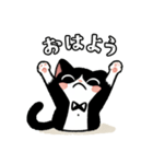 ハチワレ(猫)表情が可愛いスタンプ（個別スタンプ：3）