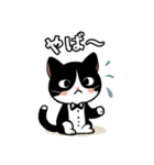 ハチワレ(猫)表情が可愛いスタンプ（個別スタンプ：7）