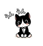ハチワレ(猫)表情が可愛いスタンプ（個別スタンプ：8）