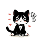 ハチワレ(猫)表情が可愛いスタンプ（個別スタンプ：13）