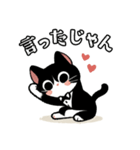 ハチワレ(猫)表情が可愛いスタンプ（個別スタンプ：14）