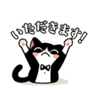 ハチワレ(猫)表情が可愛いスタンプ（個別スタンプ：15）