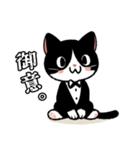 ハチワレ(猫)表情が可愛いスタンプ（個別スタンプ：17）