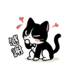 ハチワレ(猫)表情が可愛いスタンプ（個別スタンプ：18）