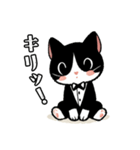 ハチワレ(猫)表情が可愛いスタンプ（個別スタンプ：20）