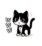 ハチワレ(猫)表情が可愛いスタンプ（個別スタンプ：21）