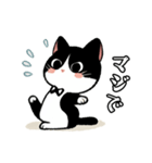ハチワレ(猫)表情が可愛いスタンプ（個別スタンプ：23）