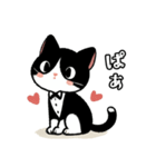 ハチワレ(猫)表情が可愛いスタンプ（個別スタンプ：24）