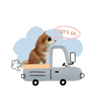 《毎日使える》柴犬ぽんずくん♡（個別スタンプ：1）