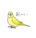 セキセイインコの可愛い1日（イエロー）（個別スタンプ：2）