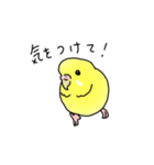 セキセイインコの可愛い1日（イエロー）（個別スタンプ：4）