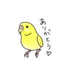 セキセイインコの可愛い1日（イエロー）（個別スタンプ：6）