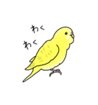 セキセイインコの可愛い1日（イエロー）（個別スタンプ：8）