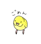 セキセイインコの可愛い1日（イエロー）（個別スタンプ：9）