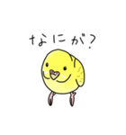 セキセイインコの可愛い1日（イエロー）（個別スタンプ：11）