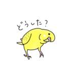セキセイインコの可愛い1日（イエロー）（個別スタンプ：13）