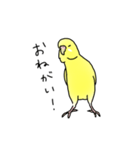 セキセイインコの可愛い1日（イエロー）（個別スタンプ：15）