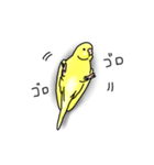 セキセイインコの可愛い1日（イエロー）（個別スタンプ：19）