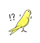 セキセイインコの可愛い1日（イエロー）（個別スタンプ：20）