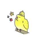 セキセイインコの可愛い1日（イエロー）（個別スタンプ：22）