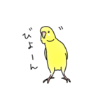 セキセイインコの可愛い1日（イエロー）（個別スタンプ：25）