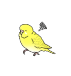 セキセイインコの可愛い1日（イエロー）（個別スタンプ：27）