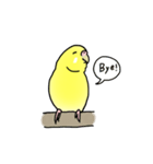 セキセイインコの可愛い1日（イエロー）（個別スタンプ：28）