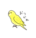 セキセイインコの可愛い1日（イエロー）（個別スタンプ：30）