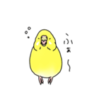 セキセイインコの可愛い1日（イエロー）（個別スタンプ：31）