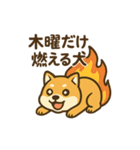 週一で燃えるイッヌ（個別スタンプ：2）