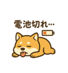 週一で燃えるイッヌ（個別スタンプ：3）