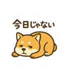 週一で燃えるイッヌ（個別スタンプ：4）