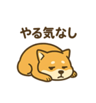 週一で燃えるイッヌ（個別スタンプ：8）