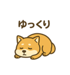 週一で燃えるイッヌ（個別スタンプ：11）