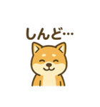 週一で燃えるイッヌ（個別スタンプ：12）