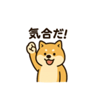 週一で燃えるイッヌ（個別スタンプ：16）